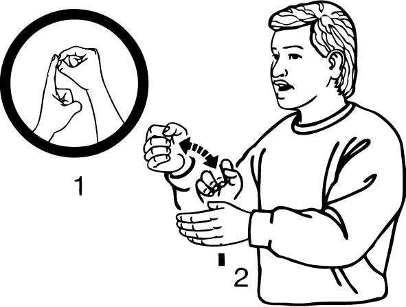 Puketapu-6868-high_resolution.png - main