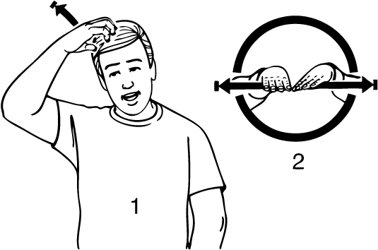 Queens_Park-6869-high_resolution.png - main