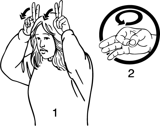 Rabbit_Island-6870-high_resolution.png - main