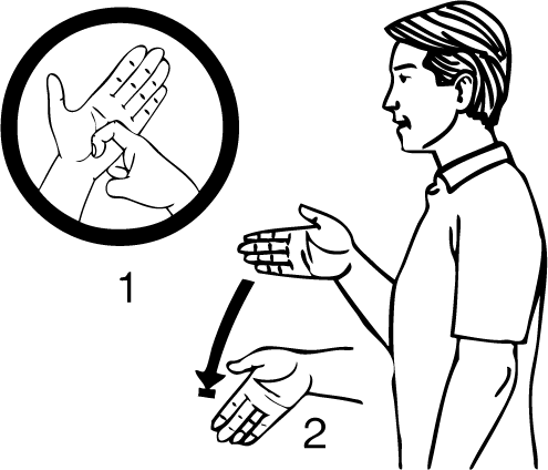 Raumati_South-6871-high_resolution.png - main