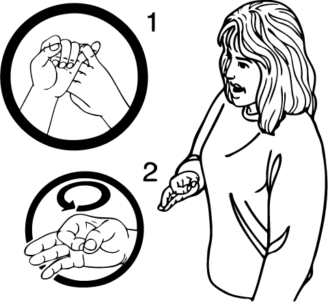 Stewart_Island-6883-high_resolution.png - main