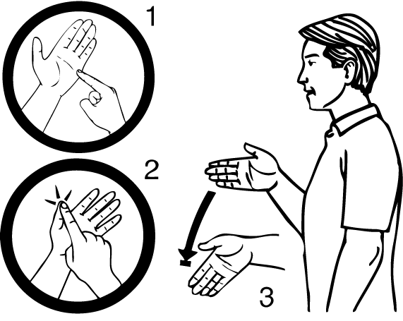 Te_Atatu_South-6885-high_resolution.png - main