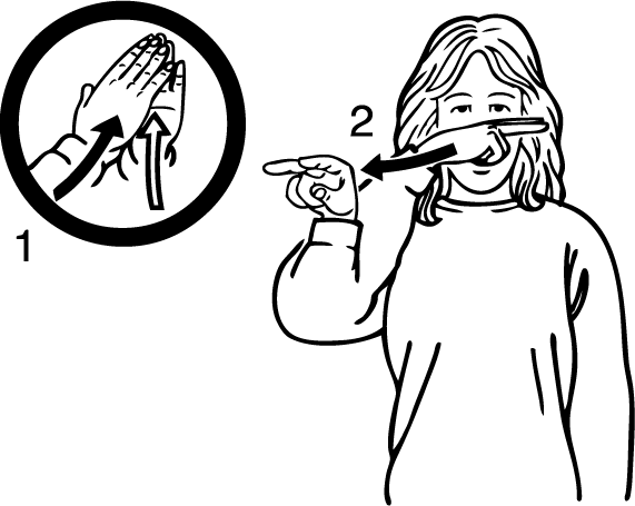 Temple_View-6886-high_resolution.png - main