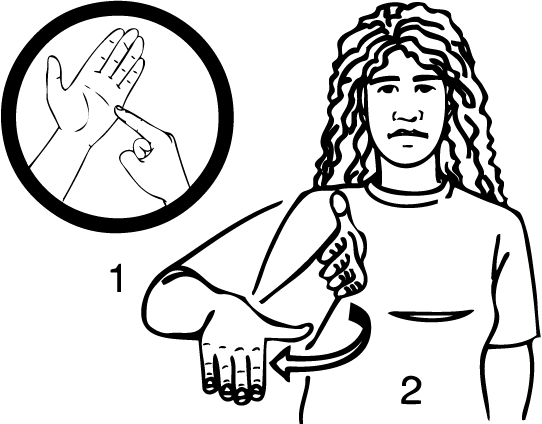 Titahi_Bay-6888-high_resolution.png - main