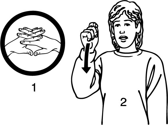 Wadestown-6892-high_resolution.png - main