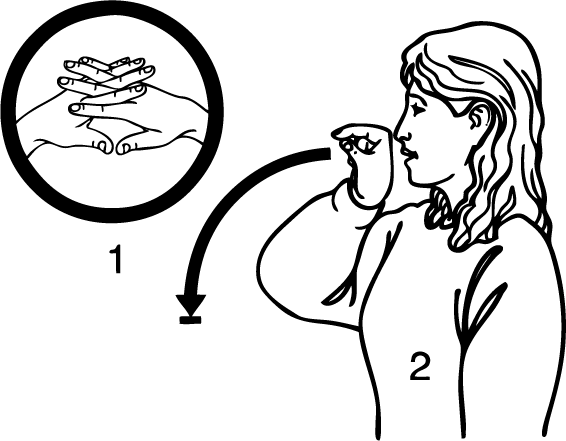 Waikiwi-6895-high_resolution.png - main