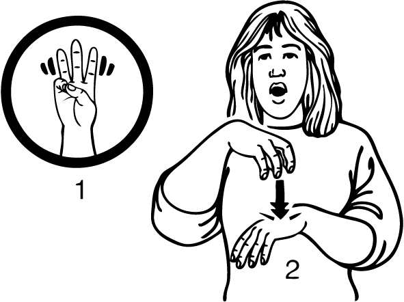 Wakari-6896-high_resolution.png - main