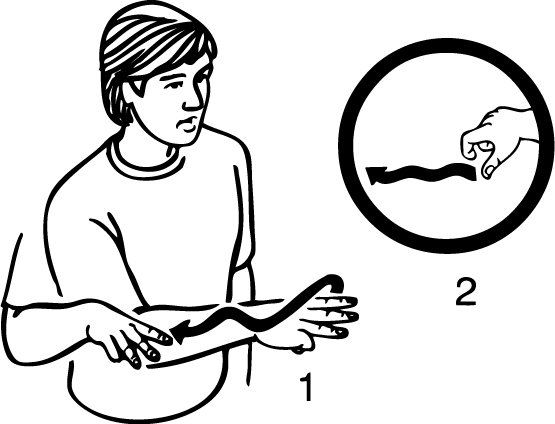 Wanganui_River-6898-high_resolution.png - main