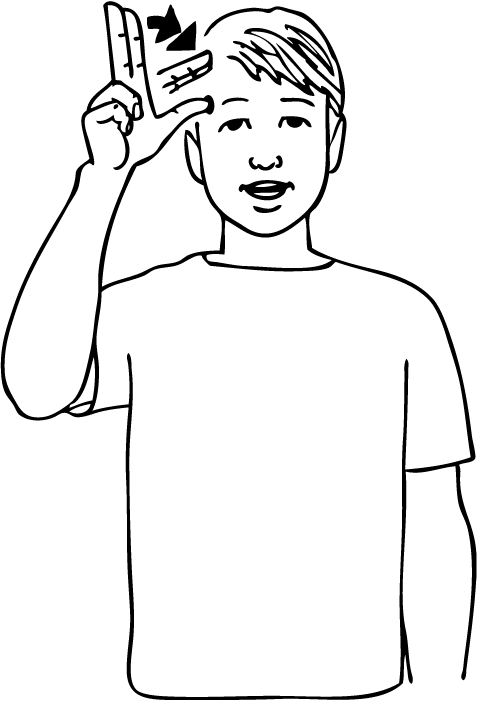 Helensville-6920-high_resolution.png - main