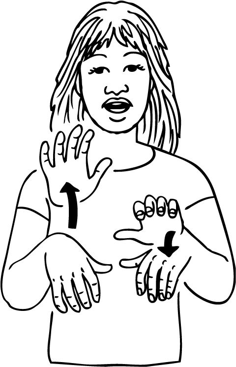 Kamo-6926-high_resolution.png - main