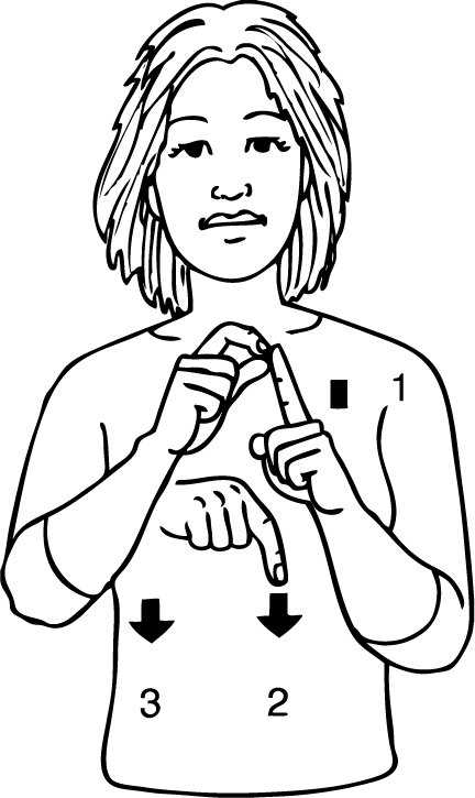 Papatoetoe-6948-high_resolution.png - main