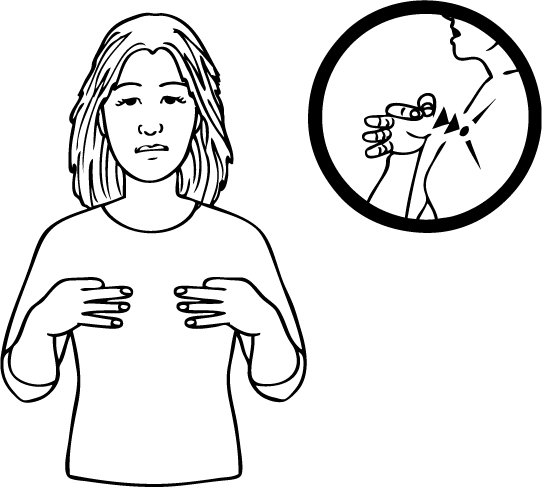 Shirley-6958-high_resolution.png - main