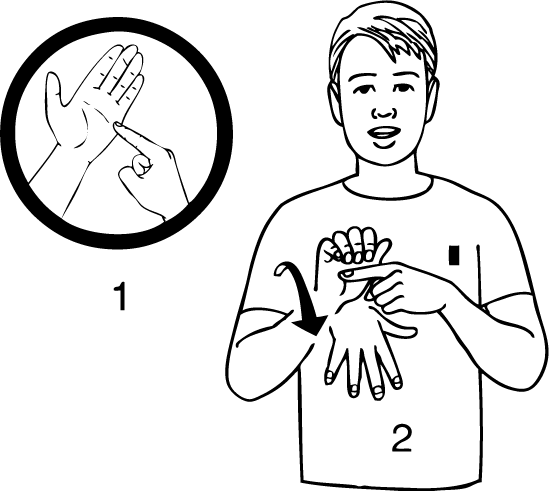 Tikipunga-6963-high_resolution.png - main