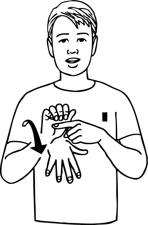 Tikipunga-6964-high_resolution.png - main