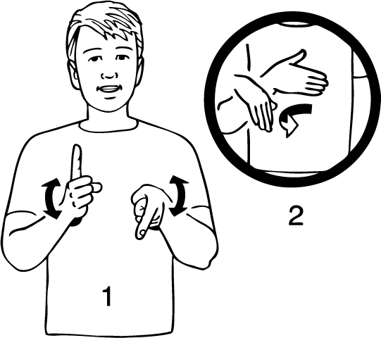 Titahi_Bay-6965-high_resolution.png - main