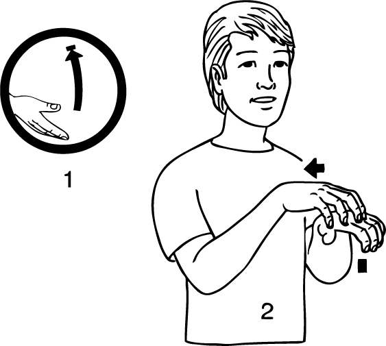 Upper_Riccarton-6969-high_resolution.png - main