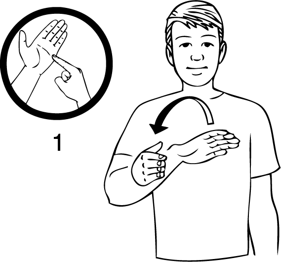 Taupiri-6990-high_resolution.png - main