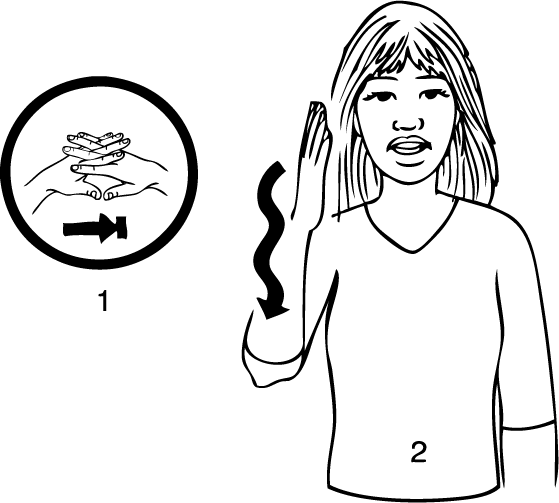 West_Coast-6991-high_resolution.png - main