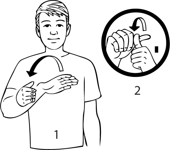 Mount_Albert-7011-high_resolution.png - main