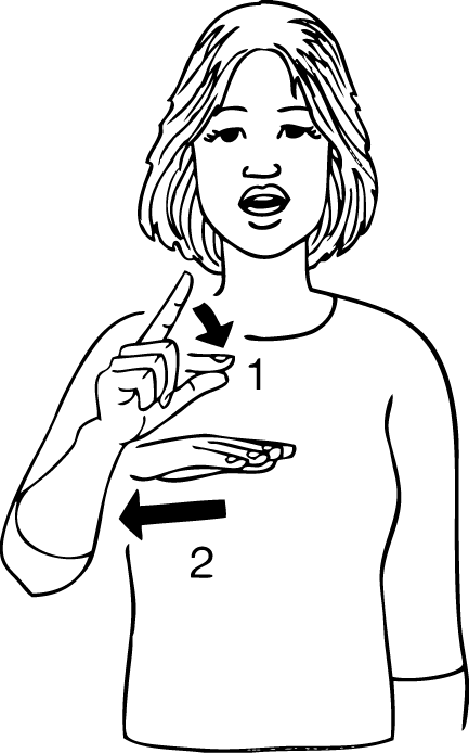 Ashhurst-7028-high_resolution.png - main