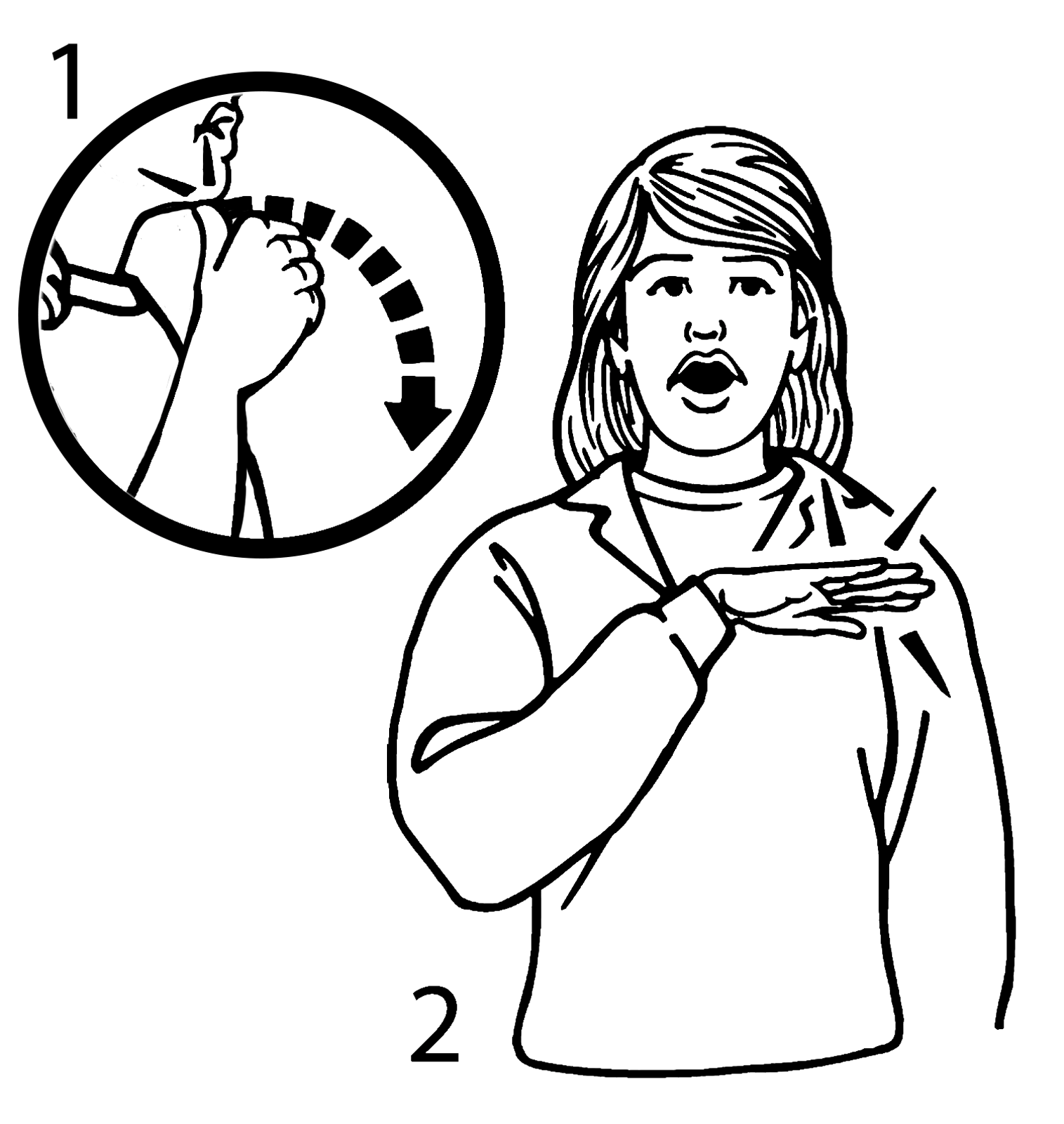 amusement_park-7036-high_resolution.png - main