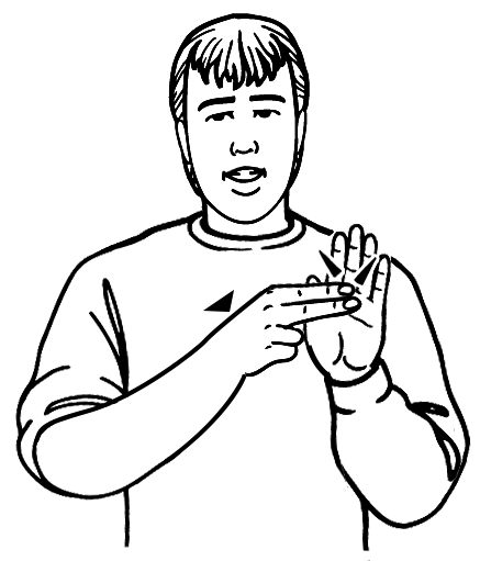 brand-7052-high_resolution.png - main