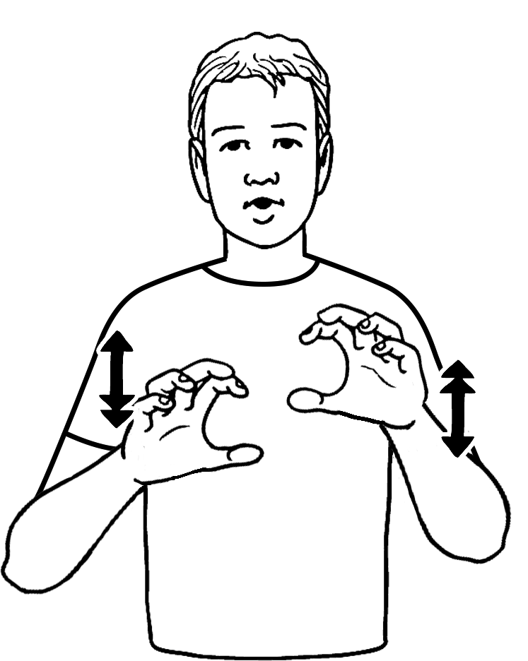 bum-7061-high_resolution.png - main