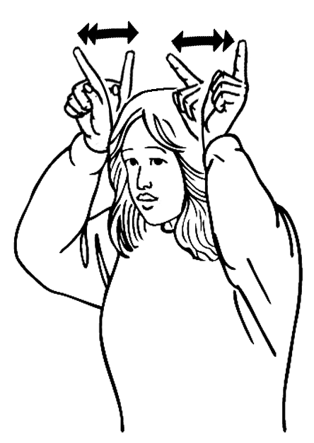 cockroach-7078-high_resolution.png - main