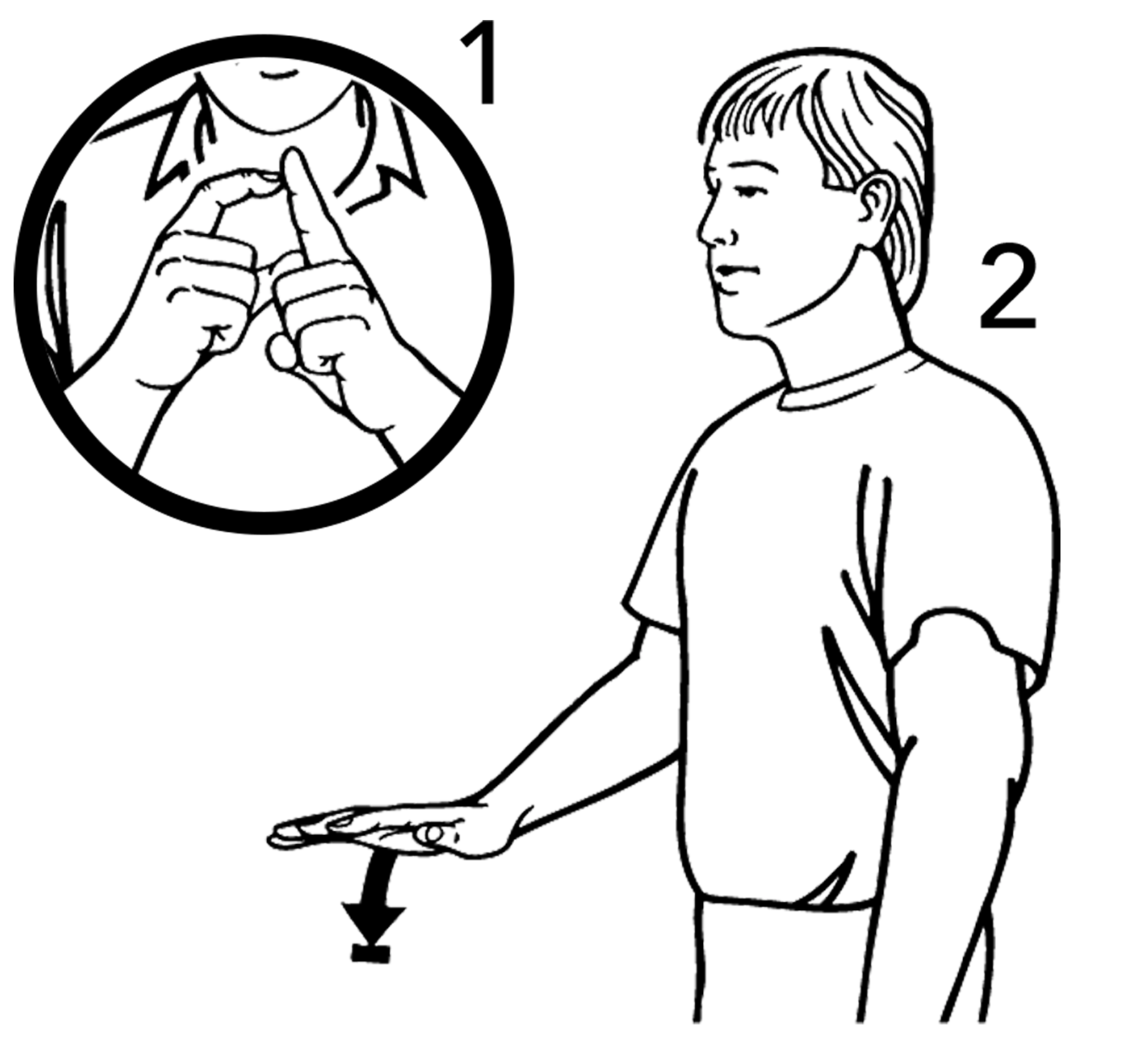 dwarf-7093-high_resolution.png - main