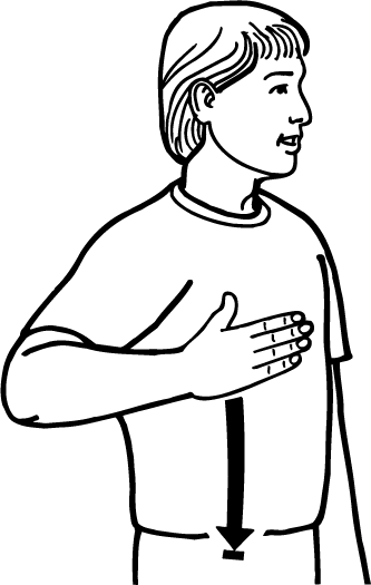 side-710-high_resolution.png - main