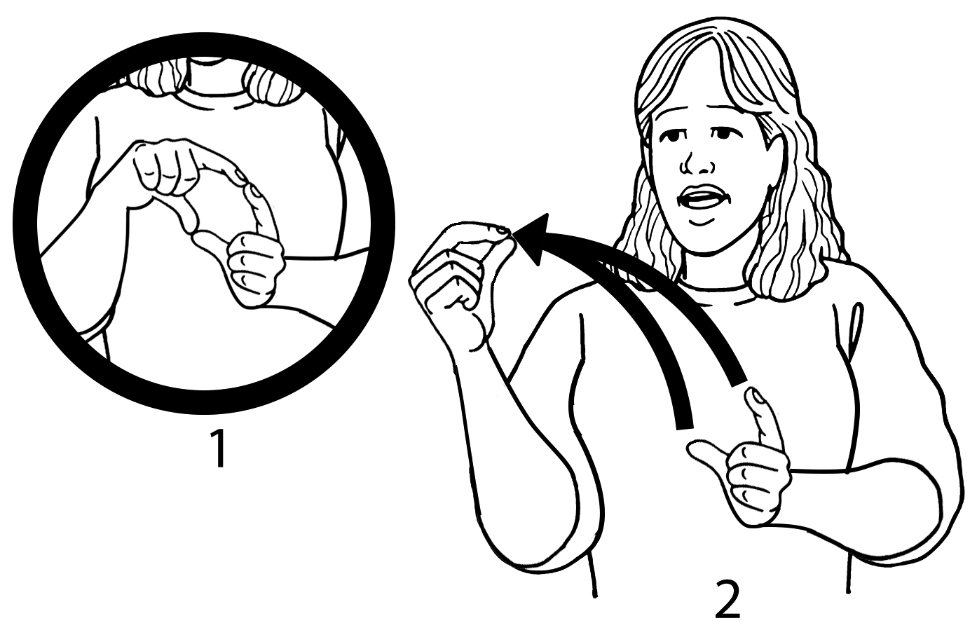 flax-7104-high_resolution.png - main