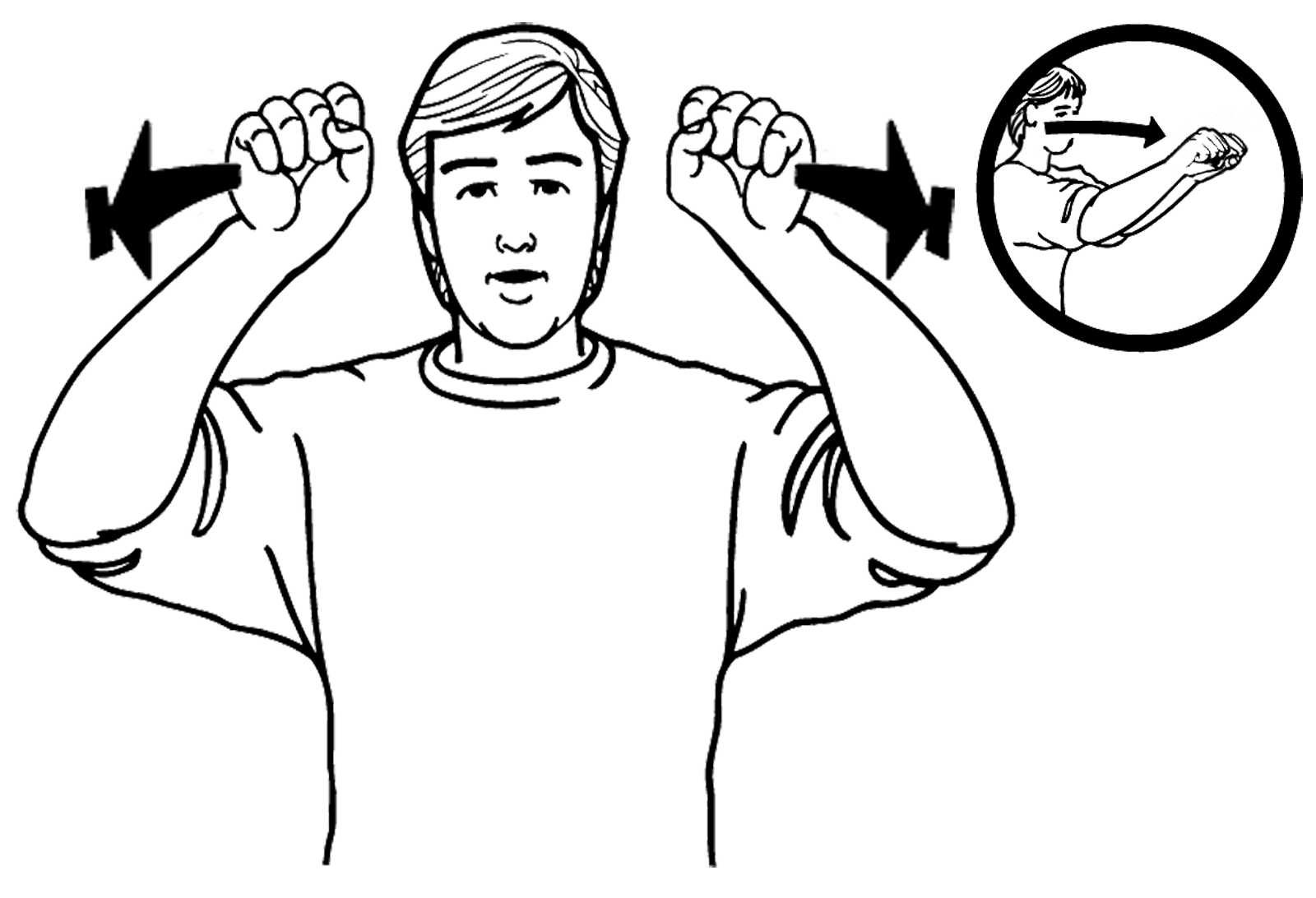 flying_fox-7107-high_resolution.png - main