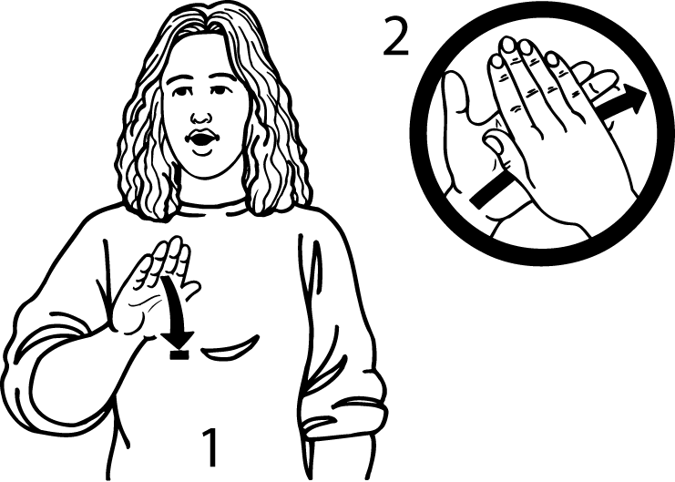 Lower_Hutt-715-high_resolution.png - main