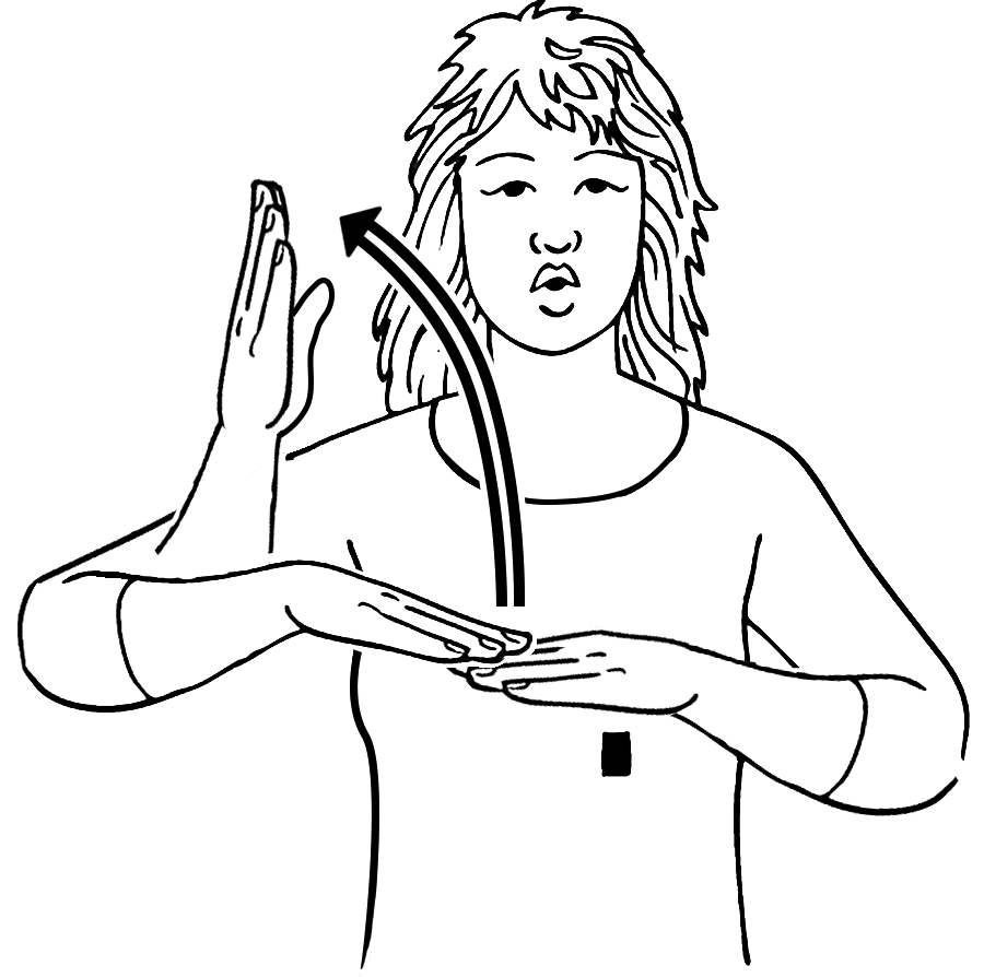 over-7154-high_resolution.png - main