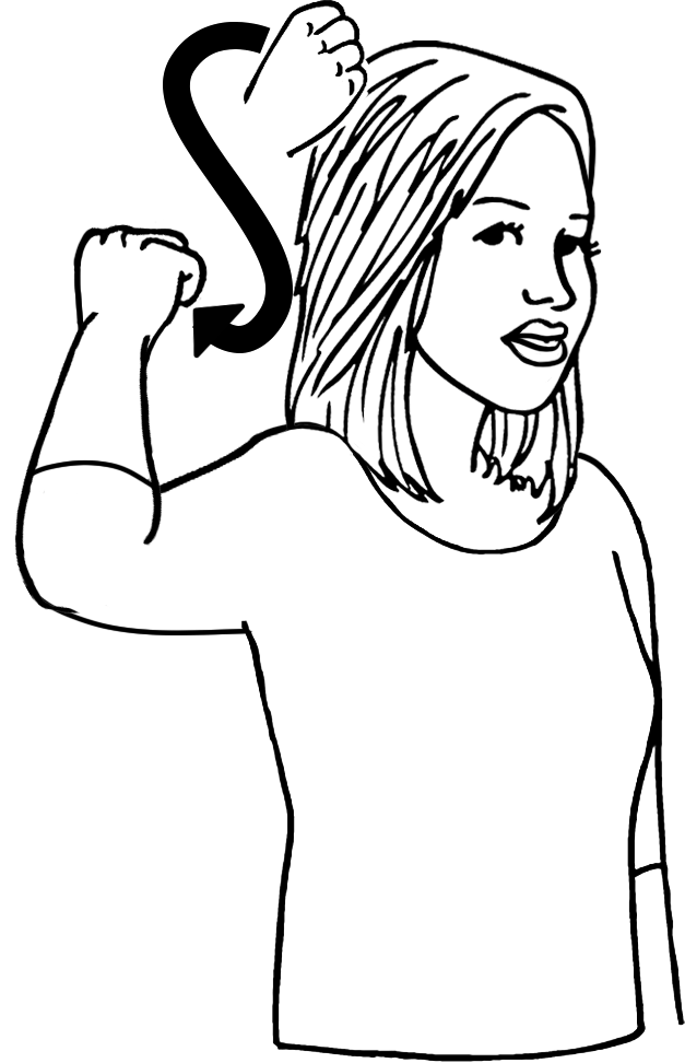 ponytail-7174-high_resolution.png - main