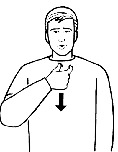 pounamu-7176-high_resolution.png - main