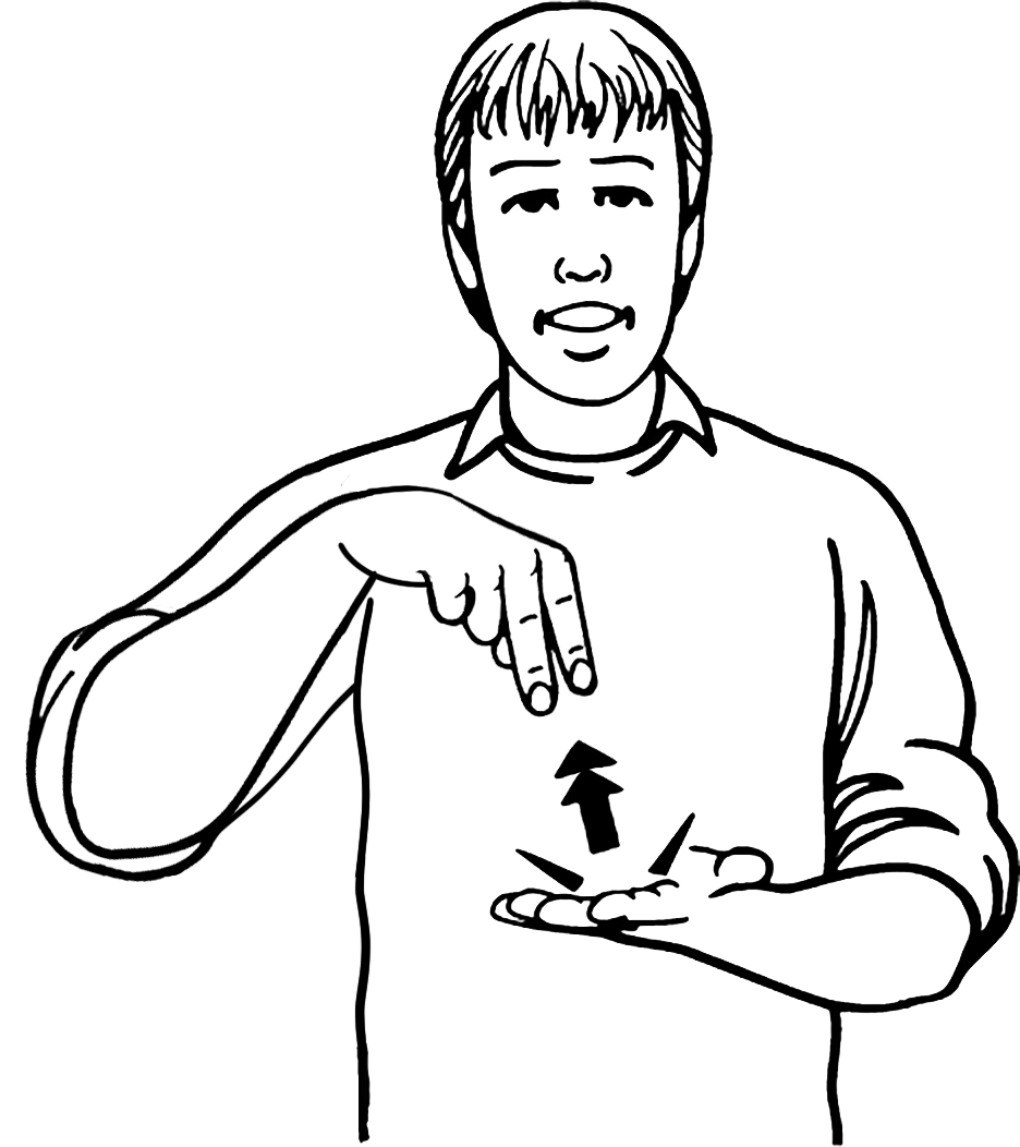 trampoline-7208-high_resolution.png - main