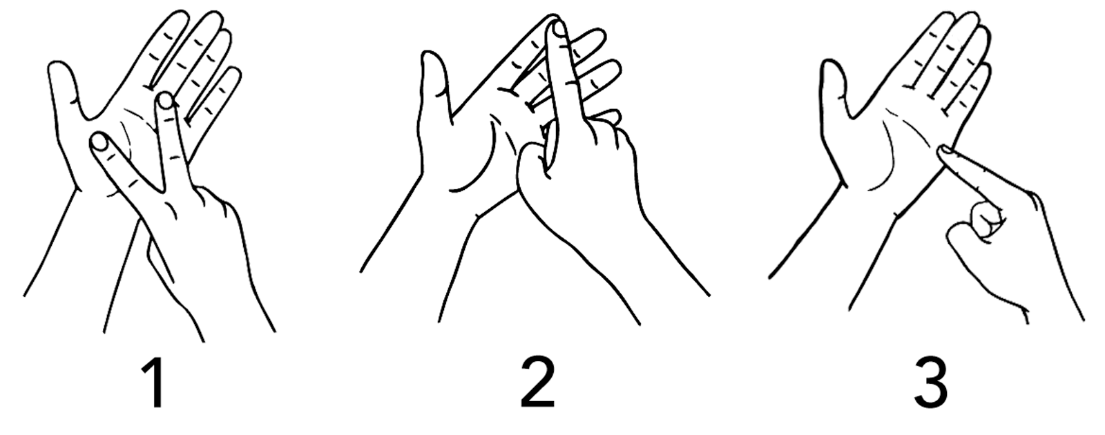 vet-7213-high_resolution.png - main