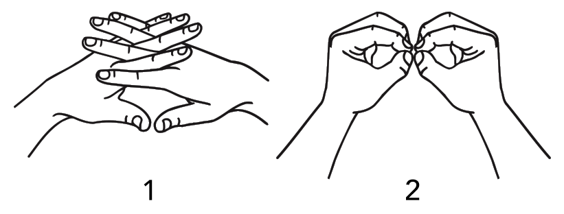 weetbix-7219-high_resolution.png - main
