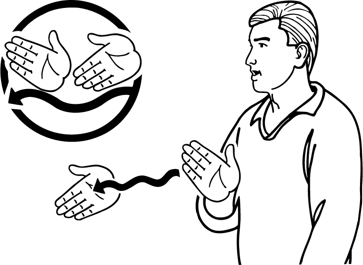 dolphin-752-high_resolution.png - main