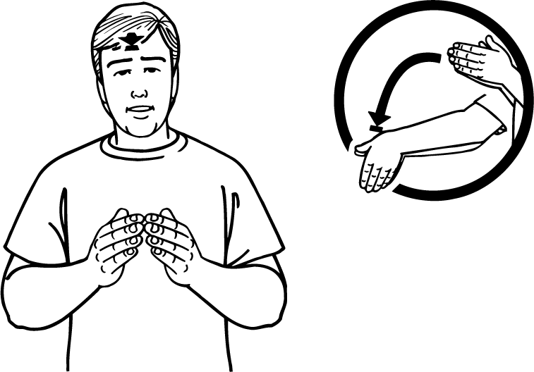 dive-779-high_resolution.png - main