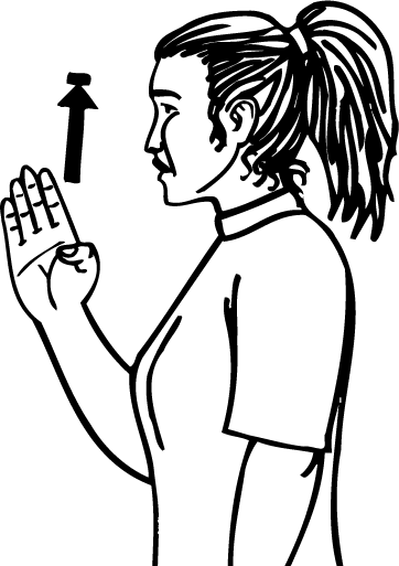 north-784-high_resolution.png - main