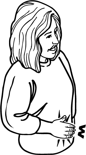 stomach-891-high_resolution.png - main