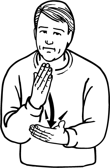 sure-892-high_resolution.png - main