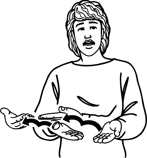 carry-894-high_resolution.png - main