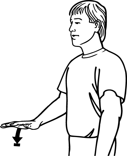 child-954-high_resolution.png - main