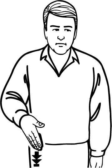 pocket-956-high_resolution.png - main