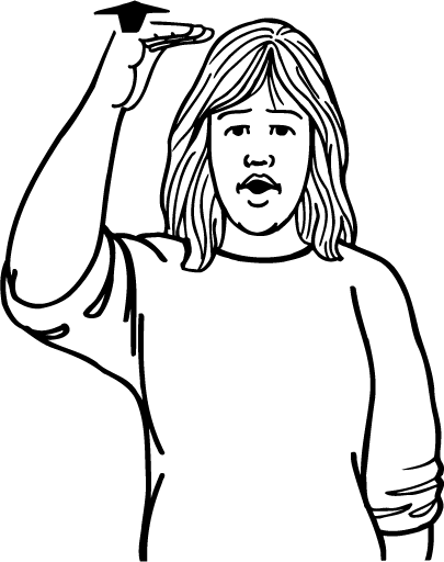 ceiling-973-high_resolution.png - main