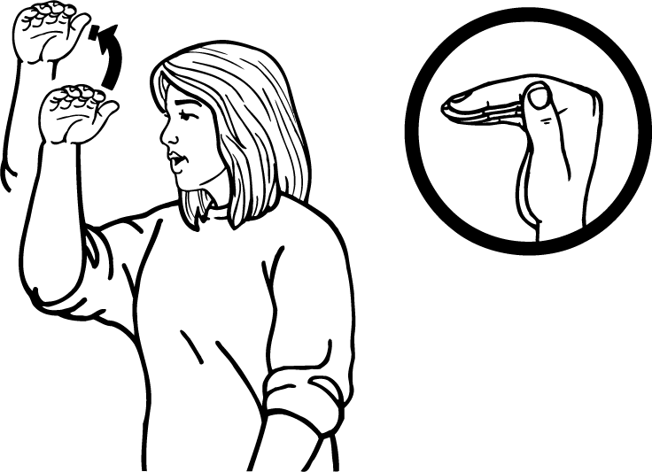 top-975-high_resolution.png - main