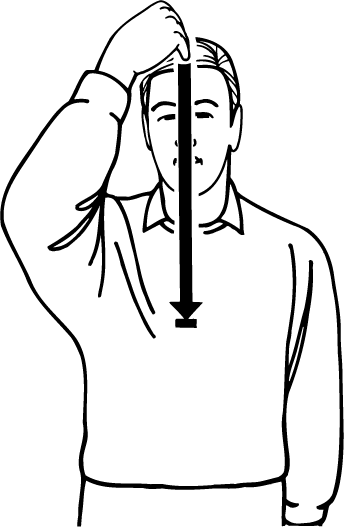 stroke-976-high_resolution.png - main